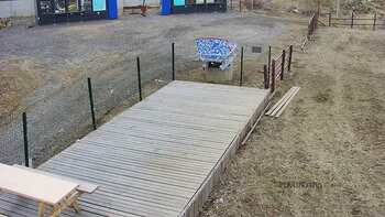 Vinny Land 20 березня 2023 року, 2023-03-20 10:00