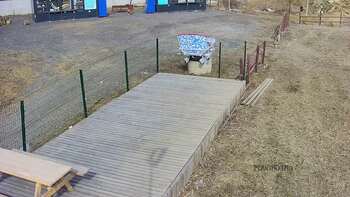 Vinny Land 20 березня 2023 року, 2023-03-20 13:00