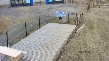 Vinny Land 21 березня 2023 року, 2023-03-21 13:00