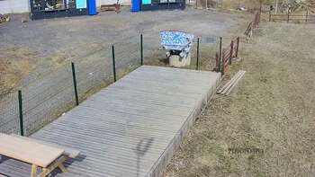 Vinny Land 23 березня 2023 року, 2023-03-23 13:00