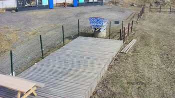 Vinny Land 24 березня 2023 року, 2023-03-24 10:00