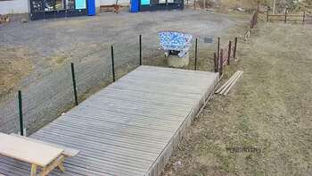 Vinny Land 24 березня 2023 року, 2023-03-24 13:00