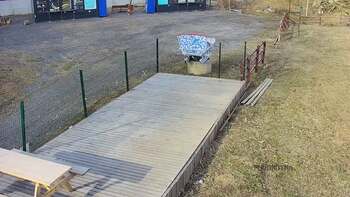 Vinny Land 24 березня 2023 року, 2023-03-24 16:00