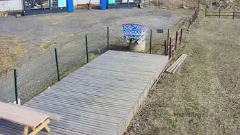 Vinny Land 25 березня 2023 року, 2023-03-25 10:00