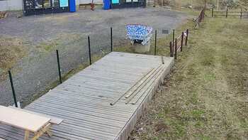 Vinny Land 31 березня 2023 року, 2023-03-31 10:00