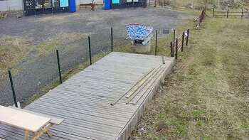 Vinny Land 31 березня 2023 року, 2023-03-31 13:00