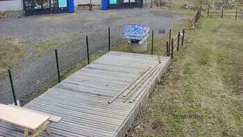Vinny Land 1 квітня 2023 року, 2023-04-01 13:00