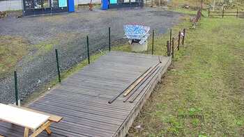 Vinny Land 3 квітня 2023 року, 2023-04-03 13:00
