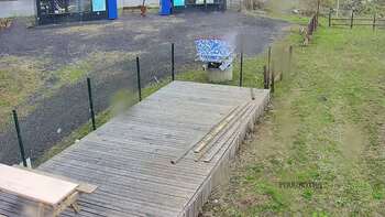 Vinny Land 11 квітня 2023 року, 2023-04-11 16:00