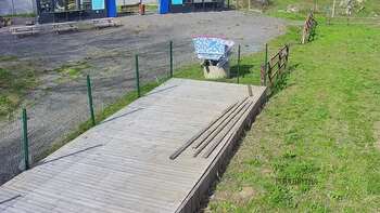 Vinny Land 23 квітня 2023 року, 2023-04-23 16:00