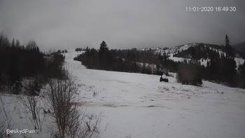 Бескид 11 січня 2020 року, 2020-01-11 16:00