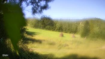 Beskyd 2 august 2025 year, 2025-08-02 10:00
