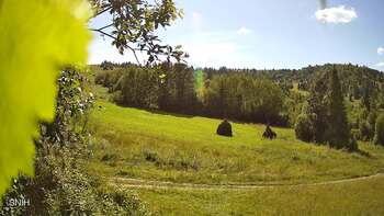 Beskyd 2 august 2025 year, 2025-08-02 16:00