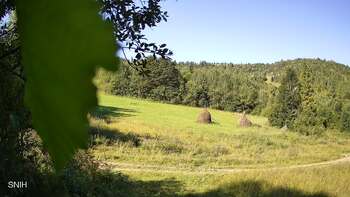 Beskyd 3 august 2025 year, 2025-08-03 10:00