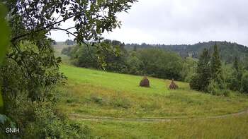 Beskyd 4 august 2025 year, 2025-08-04 10:00