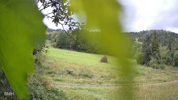 Beskyd 4 august 2025 year, 2025-08-04 13:00