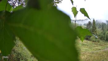 Beskyd 9 september 2025 year, 2025-09-09 10:00