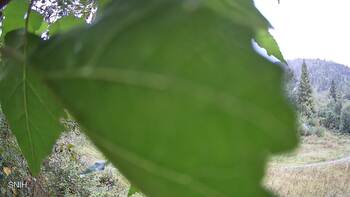 Beskyd 9 september 2025 year, 2025-09-09 13:00