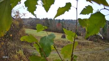 Бескид 1 листопада 2025 року, 2025-11-01 10:00