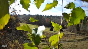 Бескид 1 листопада 2025 року, 2025-11-01 13:00