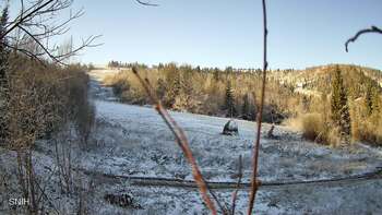 Бескид 19 листопада 2025 року, 2025-11-19 10:00