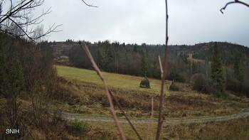 Бескид 20 листопада 2025 року, 2025-11-20 16:00