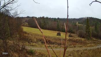 Бескид 21 листопада 2025 року, 2025-11-21 13:00