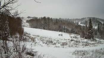 Бескид 23 листопада 2025 року, 2025-11-23 16:00