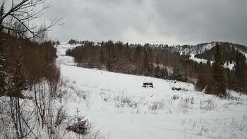 Бескид 2 січня 2026 року, 2026-01-02 13:00