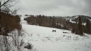 Бескид 3 січня 2026 року, 2026-01-03 13:00