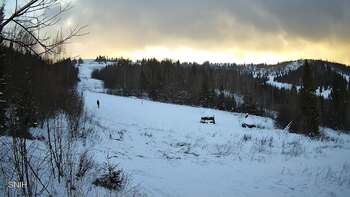 Бескид 3 січня 2026 року, 2026-01-03 16:00