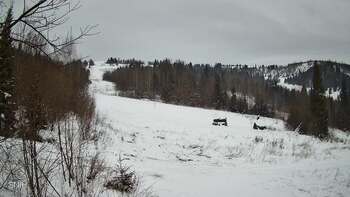 Бескид 5 січня 2026 року, 2026-01-05 16:00