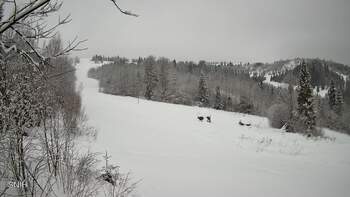 Бескид 24 січня 2026 року, 2026-01-24 10:00