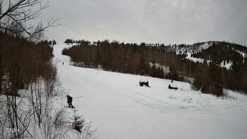 Бескид 25 січня 2026 року, 2026-01-25 16:00