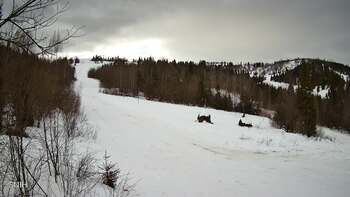 Бескид 26 січня 2026 року, 2026-01-26 13:00