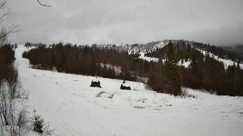 Бескид 29 січня 2026 року, 2026-01-29 10:00