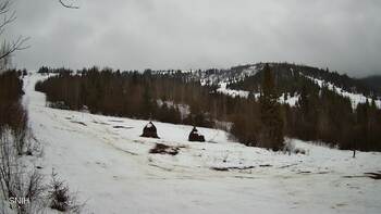 Бескид 8 лютого 2026 року, 2026-02-08 16:00