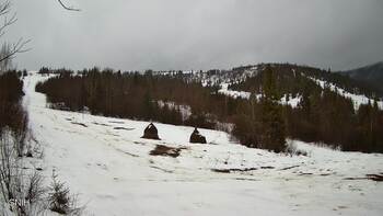 Бескид 12 лютого 2026 року, 2026-02-12 13:00