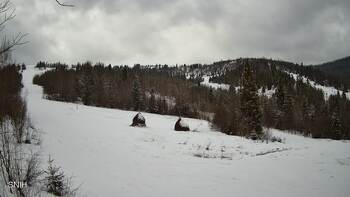 Бескид 19 лютого 2026 року, 2026-02-19 13:00