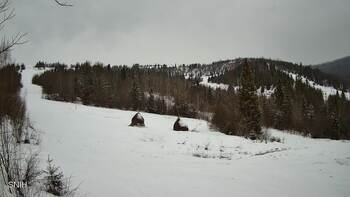 Бескид 19 лютого 2026 року, 2026-02-19 16:00