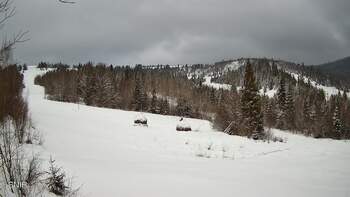 Beskid 20 luty 2026 rok 10:00