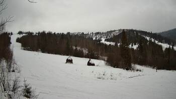 Бескид 22 лютого 2026 року, 2026-02-22 13:00