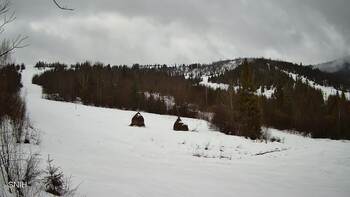 Бескид 24 лютого 2026 року, 2026-02-24 10:00