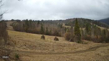 Beskyd 29 march 2026 year, 2026-03-29 16:00