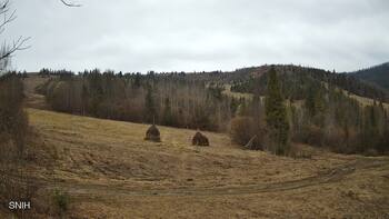 Бескид 1 квітня 2026 року, 2026-04-01 13:00
