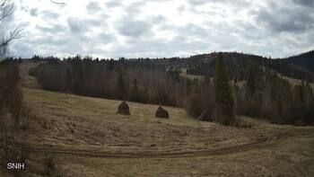 Beskid 11 kwiecień 2026 rok, 2026-04-11 16:00