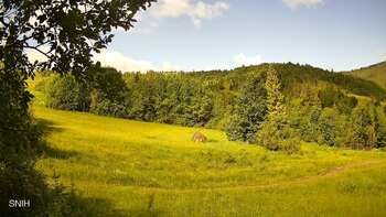 Beskid 15 czerwiec 2026 rok, 2026-06-15 10:00