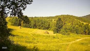 Beskid 29 czerwiec 2026 rok, 2026-06-29 10:00