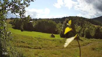 Beskid 28 lipiec 2026 rok, 2026-07-28 16:00