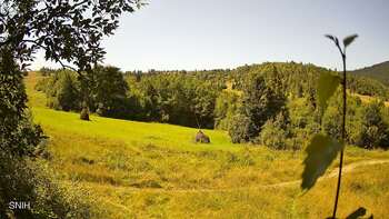 Beskyd 31 july 2026 year, 2026-07-31 13:00